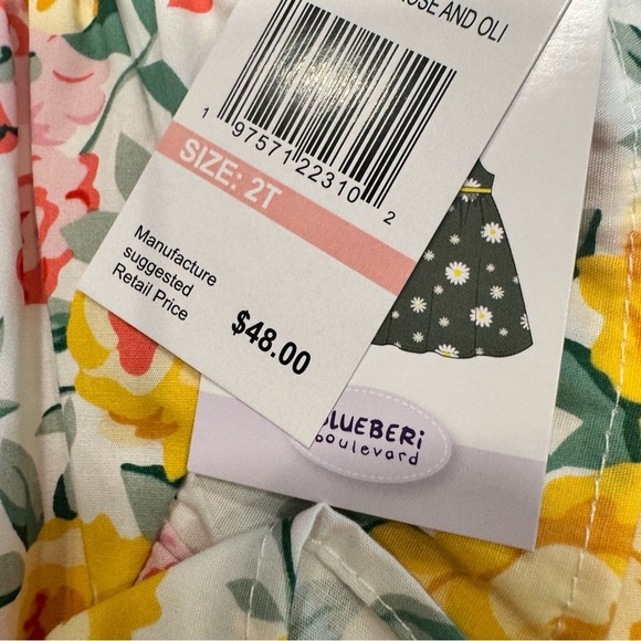 Blueberi Boulevard LOT OF 2 Girls Floral Dresses NWT Size 2T MSRP $96 - Picture 12 of 16